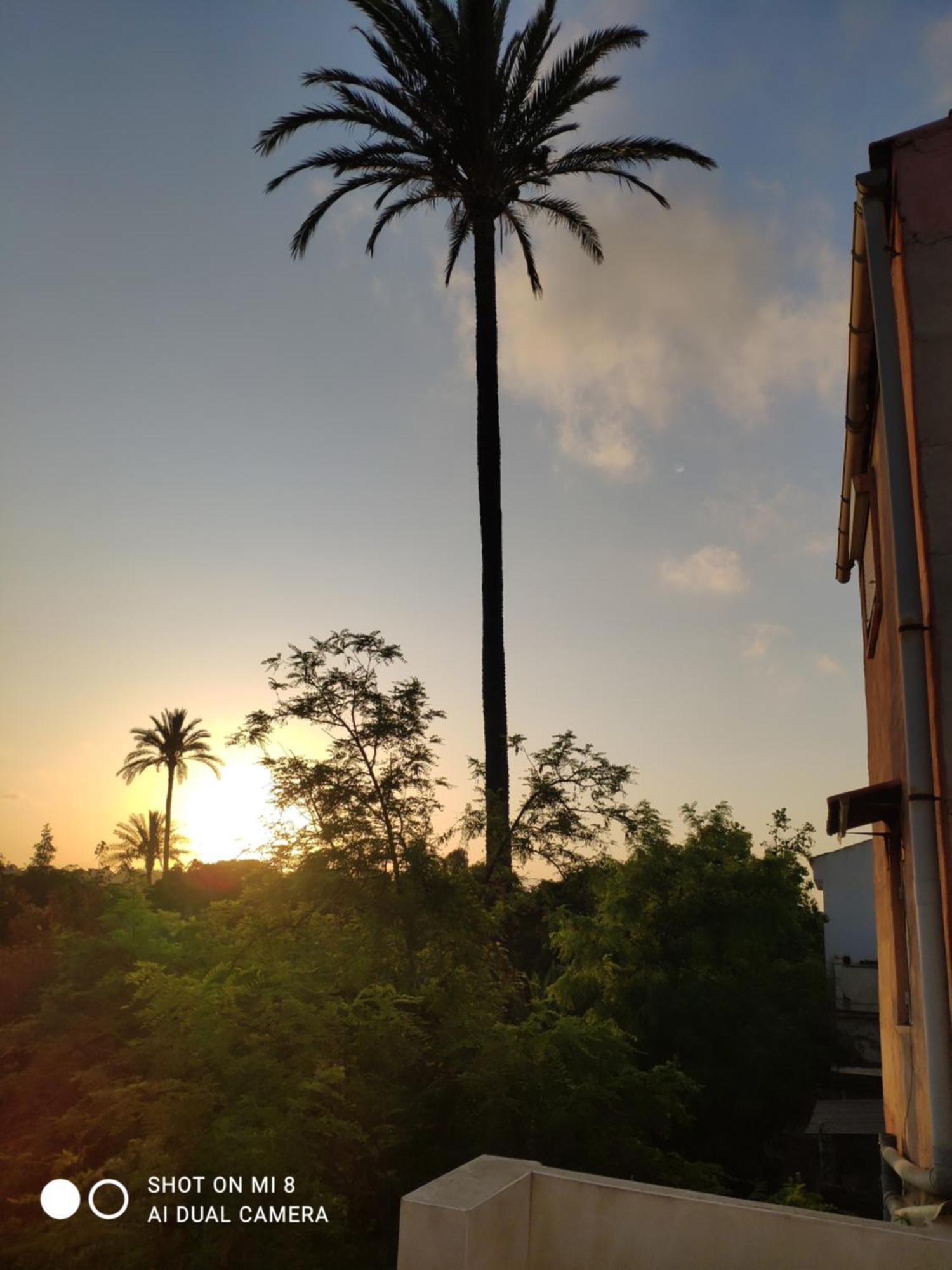 Apartamento En Alicante La Casa Azul Santa Faz Экстерьер фото